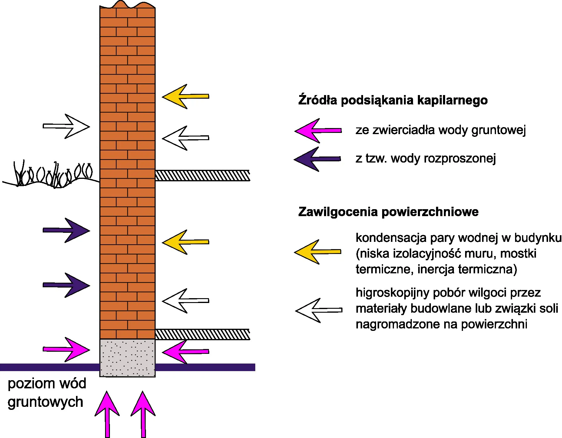 pochodzenie zawilgocenia pochodzenie zawilgocenia