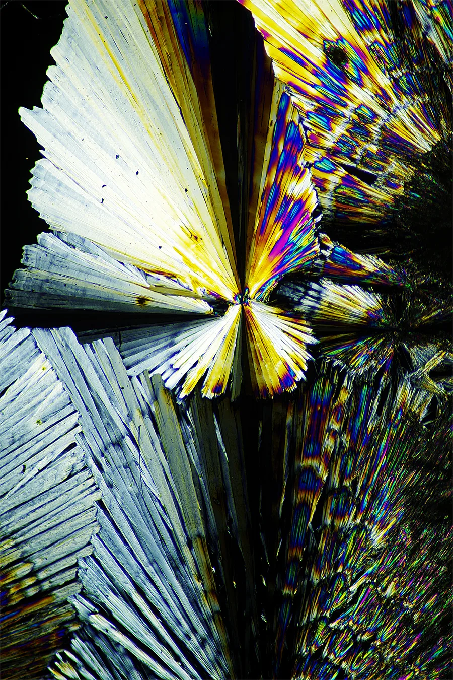 zasolenie murów w budynkach